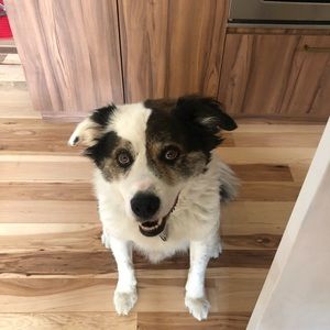 Meet your Posher, Ellen